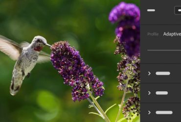 Adobe introducerer Adaptive Profiler til Lightroom og Camera Raw