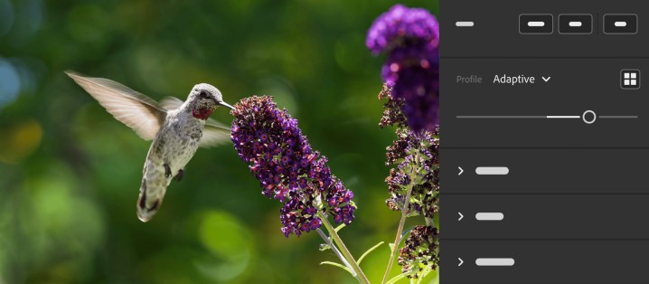 Adobe introducerer Adaptive Profiler til Lightroom og Camera Raw