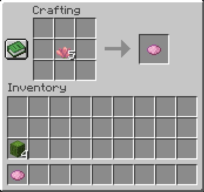 Den ultimative guide til Minecraft Kaktusblomsten: Alt hvad du har brug for at vide