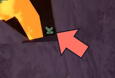 Den Ultimative Guide til Den Bedste Guld Farm i Rune Slayer