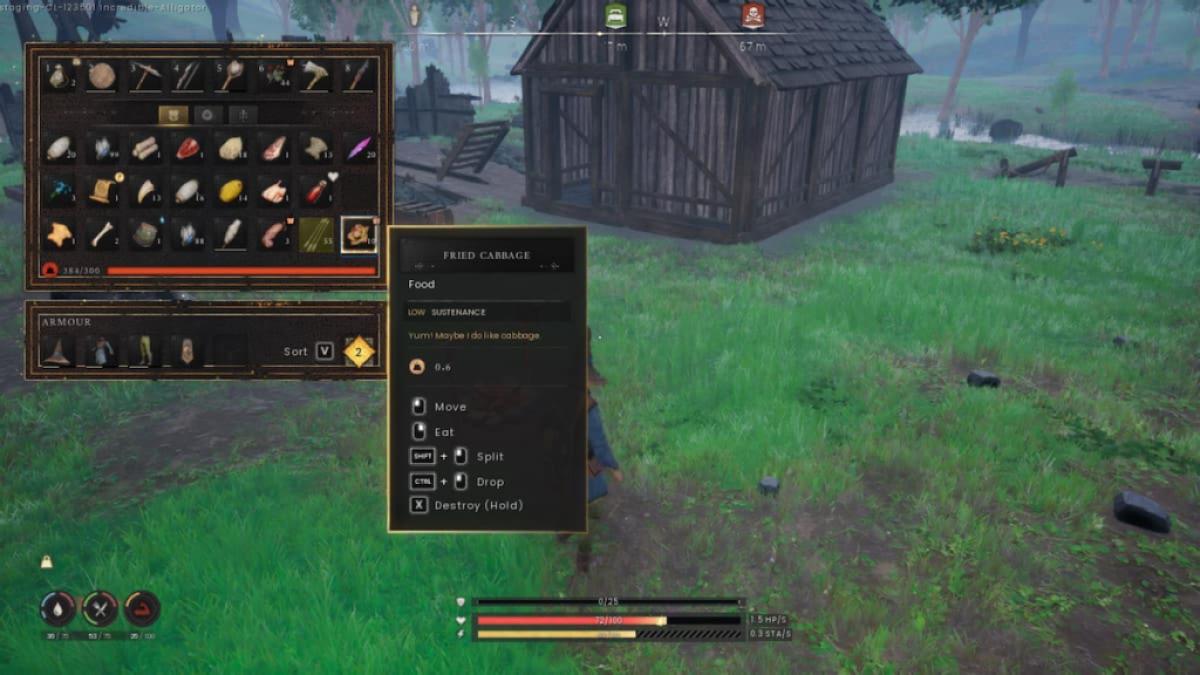 Madopskrifter i RuneScape Dragonwilds