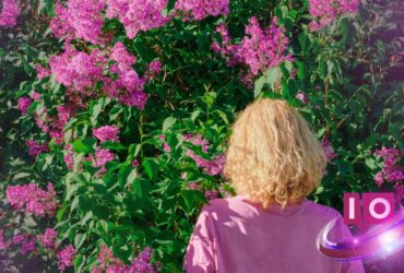 Hvorfor mennesker overgår AI i forståelsen af blomster