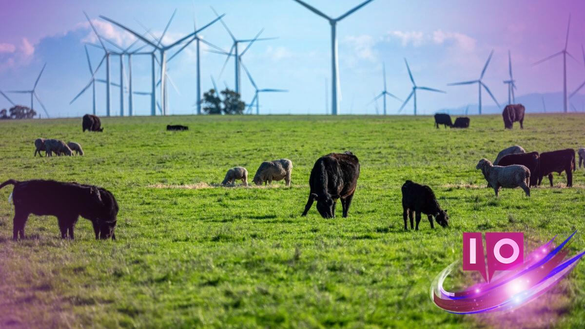 Bay Area tech milliardærer planlægger ny industrihub-udvikling